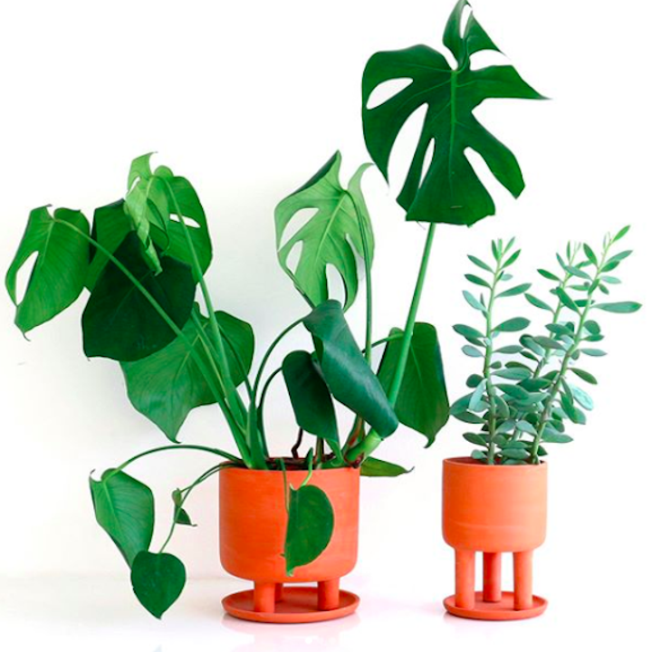 26 Products To Level Up Your Plant Game