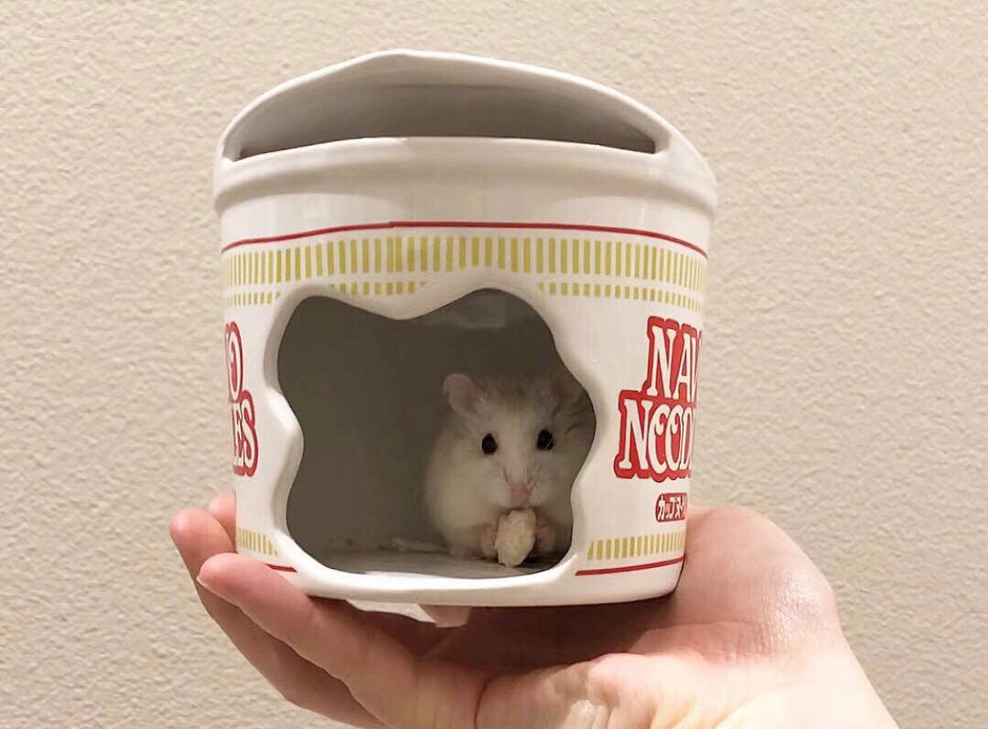 small hamster in ceramic hut shaped like cup of noodles