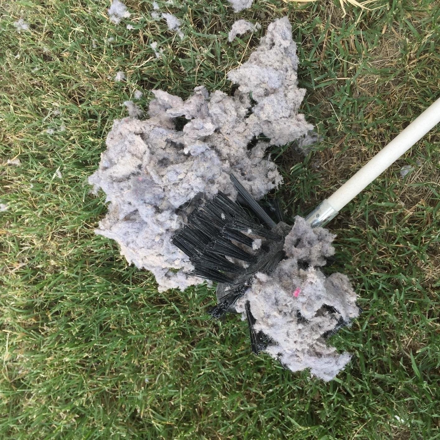 Reviewer&#x27;s conical brush, about two inches long and at the tip of white tubing, with a pile of lint it cleaned out