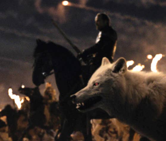 Birds aren't the only thing Bran can warg into â we saw him warg into Summer, his direwolf, in the past, as well as Hodor. Some fans have suggested Bran actually warged into Ghost and/or the dragons during the Battle of Winterfell. This would be cool, but it's another theory for which we have zero on-screen evidence.