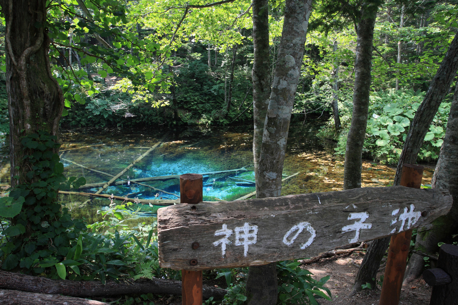 北海道に信じられない池があるので見てくれ