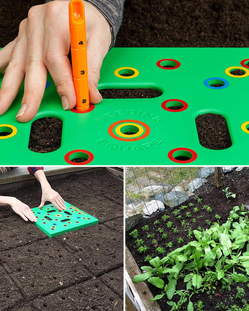 The board, which has holes to tell you where to plant your seeds