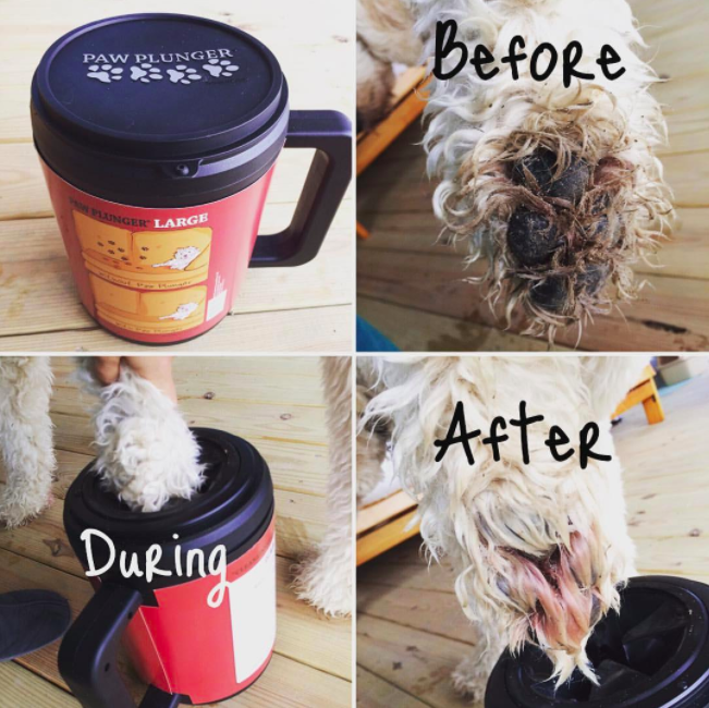 A series of reviewer photos showing the before-during-after results of using the paw plunger.