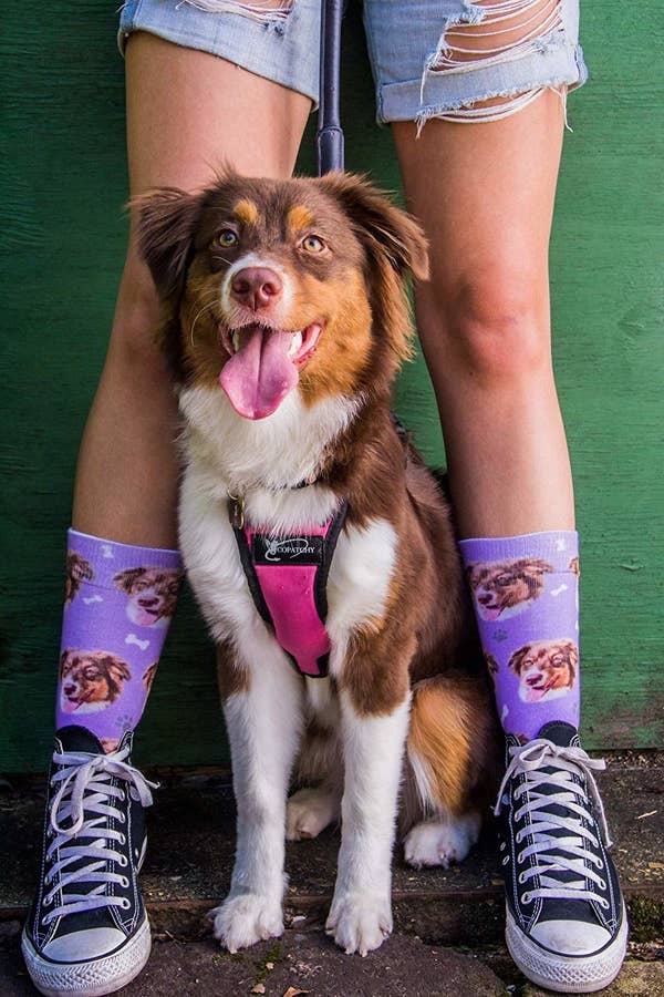 A dog stands between two feet wearing socks showing the dog's face all over them 