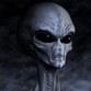 Spacealien's avatar