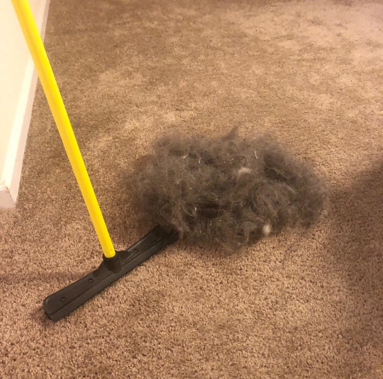 reviewer&#x27;s squeegee broom next to an enormous pile of hair gathered from their carpet