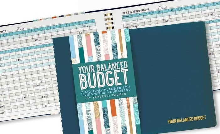 cover of budget book and inside of book showing a daily and monthly tracker