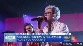 Best Lyric: "My heart's already breaking, baby go on twist the knife."If you don't scream this lyric, what are you even doing? I'd like to thank not only God, but Jesus that we had the privilege of hearing this song live before this never-ending hiatus. The whole song is very sad, but Niall's solo wins for most heartbreaking line of the whole song.