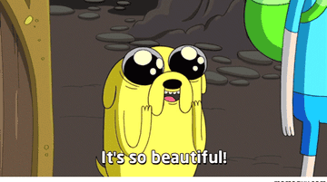 Jake the dog saying &quot;it&#x27;s so beautiful!&quot;