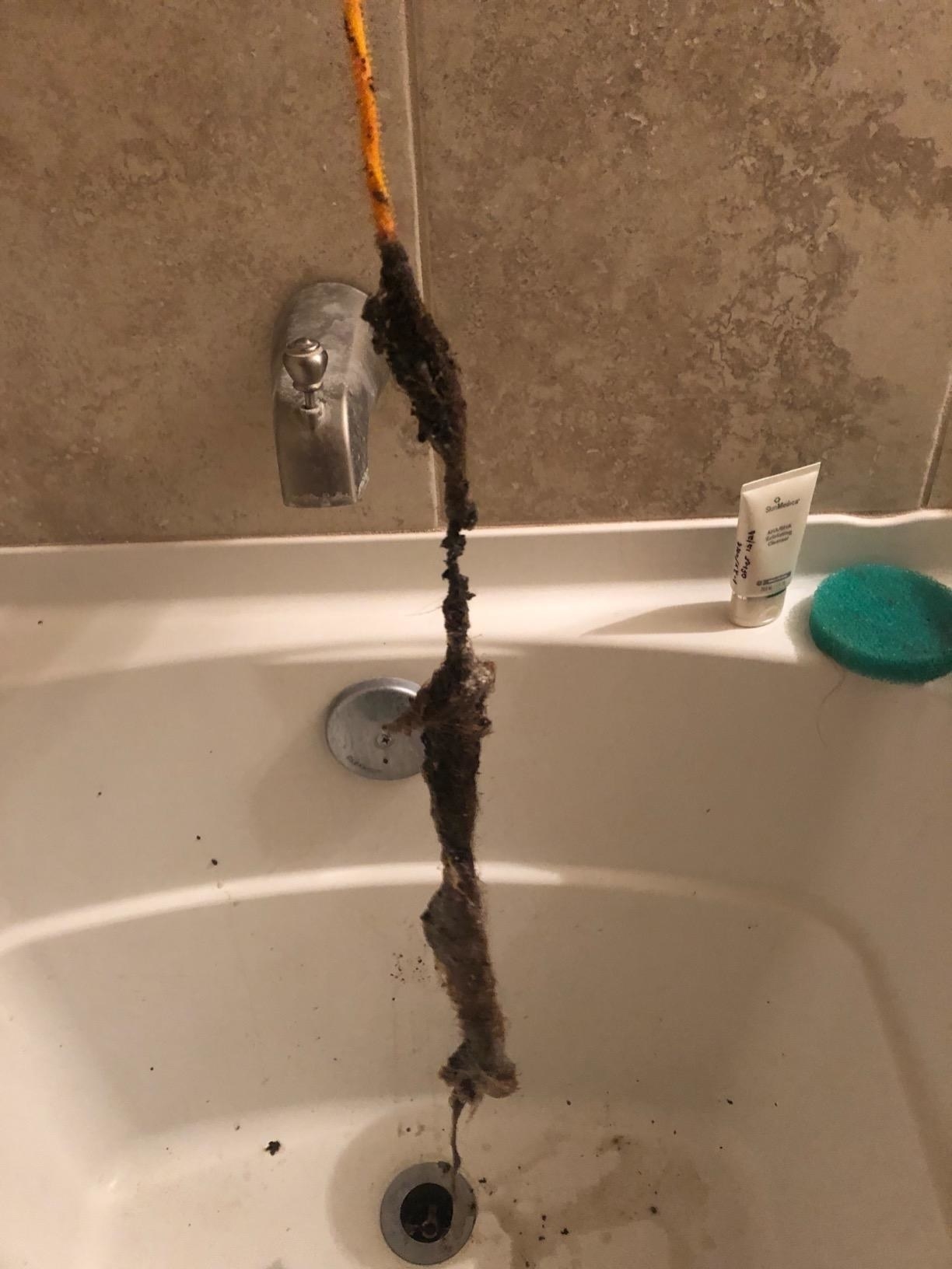This thing growing in my bathroom. Comes back after being plucked,  bleached. I'd like to get rid of it : r/whatisthisthing