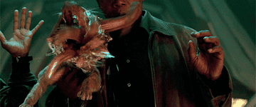 Https Encrypted Tbn0 Gstatic Com Images Q Tbn 3aand9gcslqabwgqnyo9fobl 1z 9iozmhh6b3ev0syw Usqp Cau