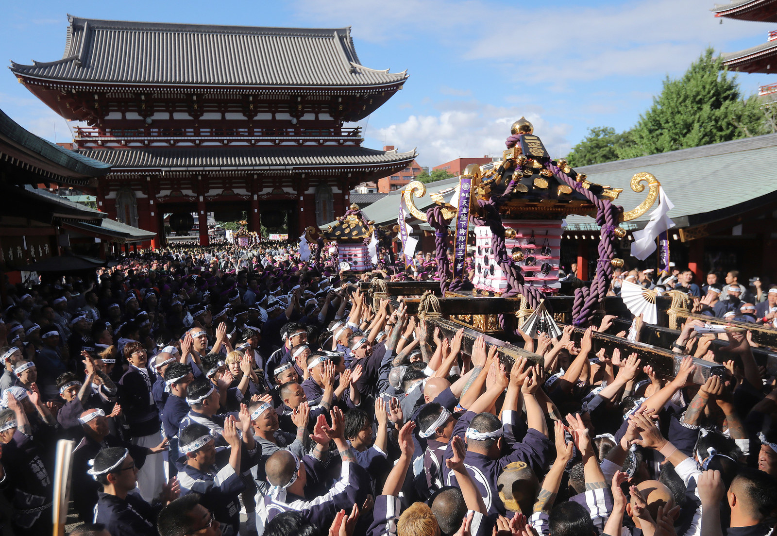 浅草神社 三社祭「御祭礼参拝之証」令和五年版 限定頒布証-