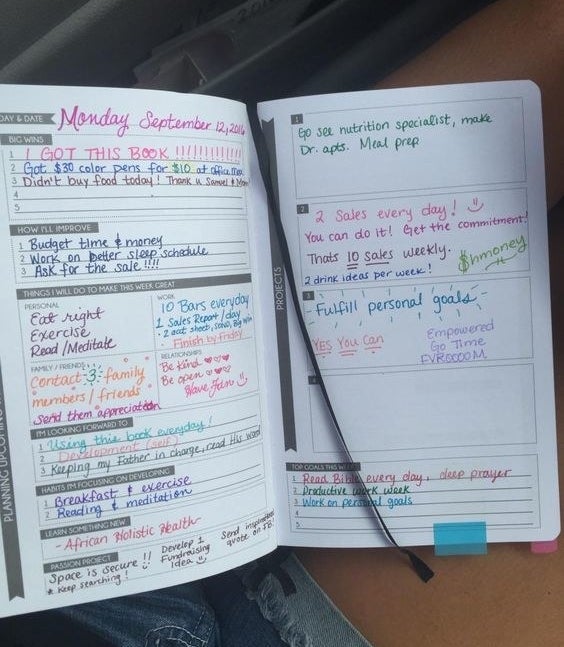 The planner open to a page with a variety of prompts as well as entries from the Reviewer