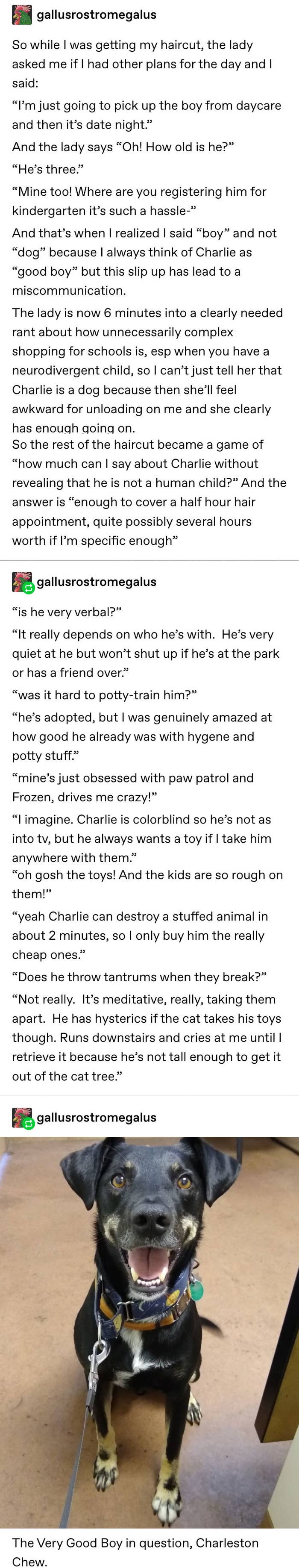 Best Tumblr Posts For The Week Of May 13 2019
