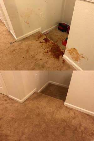 Two photos: the top showing a giant ketchup stain smeared over the carpet and walls, and the bottom of the same carpet and walls, no ketchup in sight