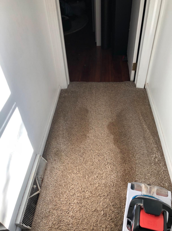 Reviewer's stained carpet before using the carpet cleaner 