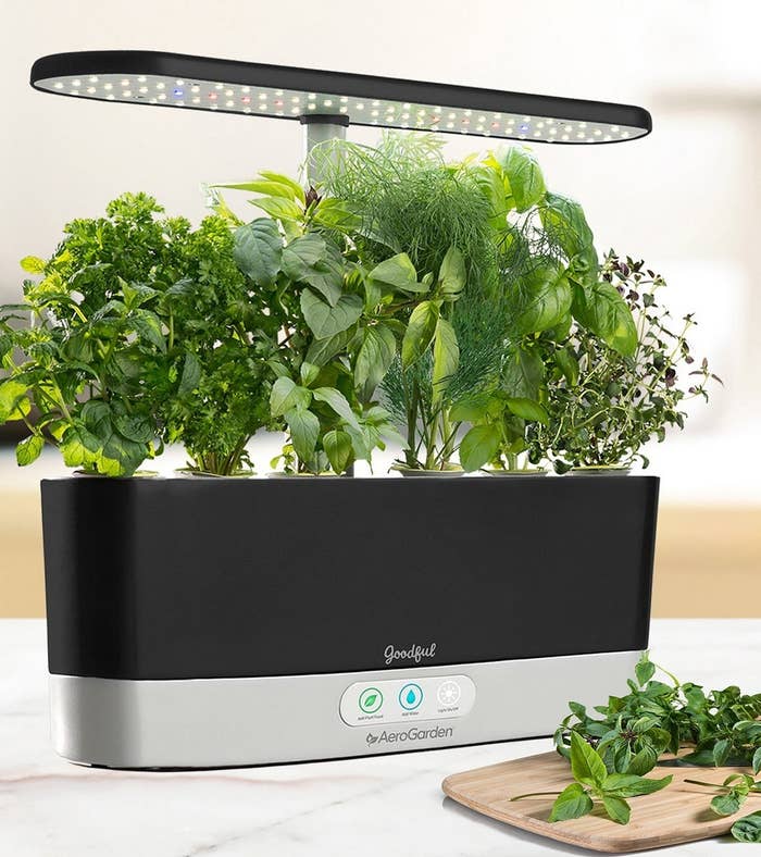 black electric planter with herbs growing in it under LED lights