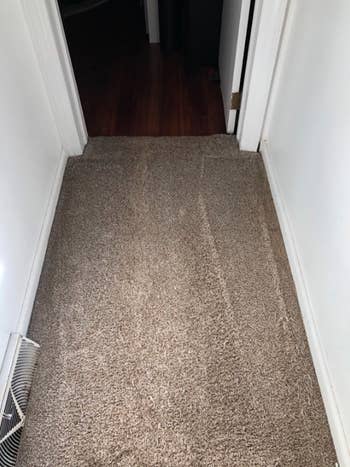 Reviewer's carpet after using it, with all of the stains gone and it back to its original color 