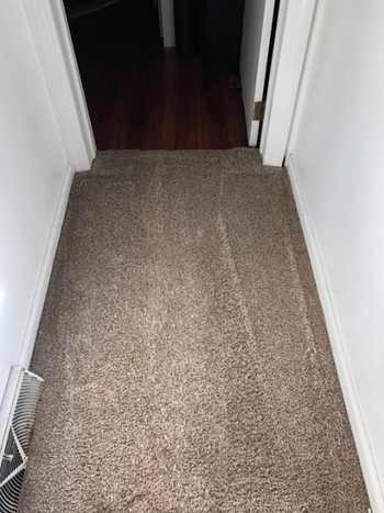 Reviewer's carpet after using it, with all of the stains gone and it back to its original color 