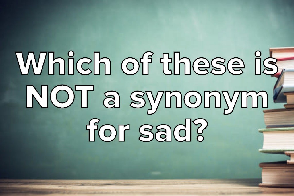 synonym-quiz-how-many-can-you-name