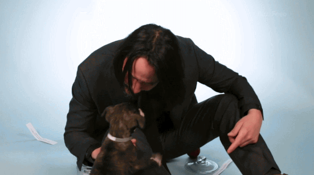 Keanu Reeves Plays With Puppies While Answering Your Fan Questions
