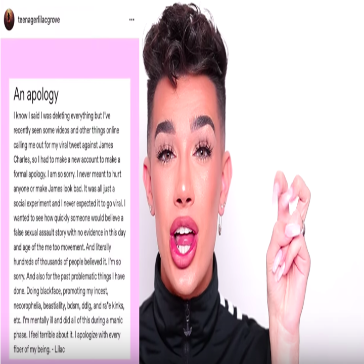 James Charles Posted A 41-Minute Video Of Screenshots And Receipts. We ...