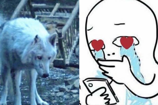 Here S Why Jon Snow Didn T Pet Ghost Goodbye On Game Of Thrones