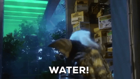 "My dad used to have me watch this all the time, but I still hate it when the Gremlins get wet and do all that jiggling!"—l40c597e23