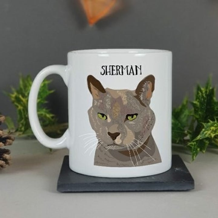illustration of a grumpy looking grey cat on a mug reading "Sherman"