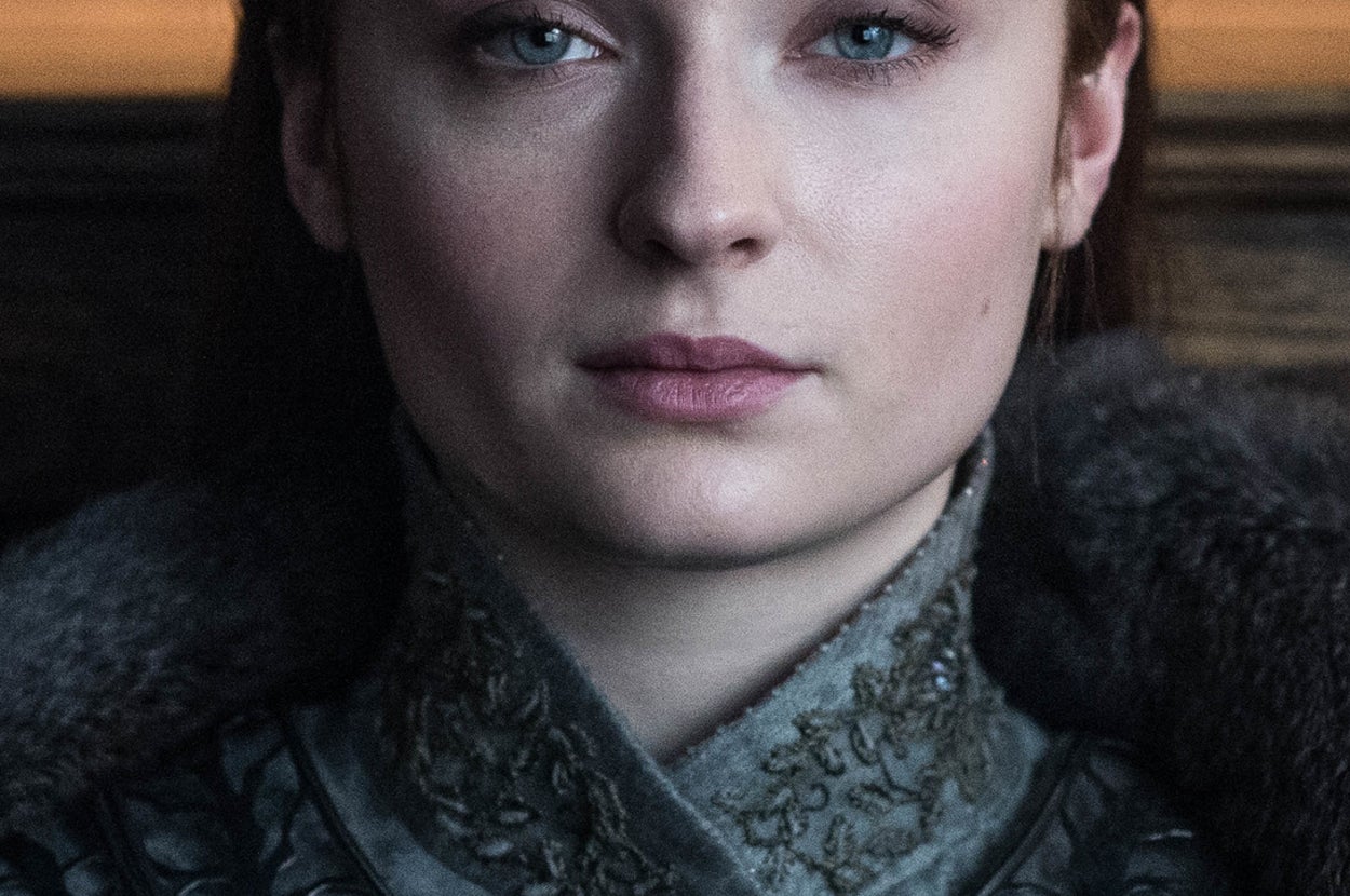 The Details Hidden On Sansa's Costume In The "Game Of Thrones" Finale Will  Actually Make You Emotional