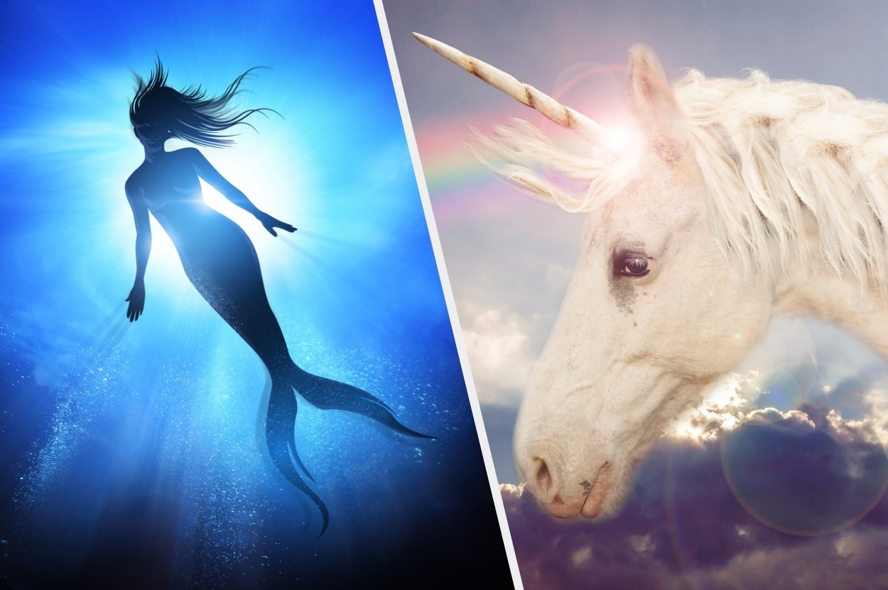 Quiz Are You A Unicorn Or A Mermaid Are you actually a unicorn? quiz are you a unicorn or a mermaid