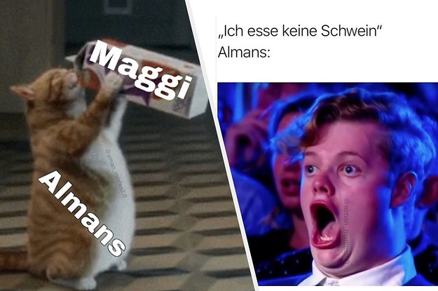 German Memes Deutsche Memes Tiktok Profile