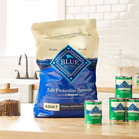 25 Basics From Walmart All Dog Owners Should Have
