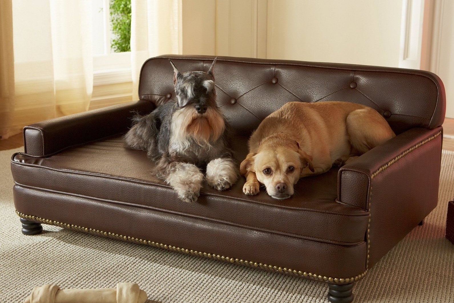 Man and Dog Sofa