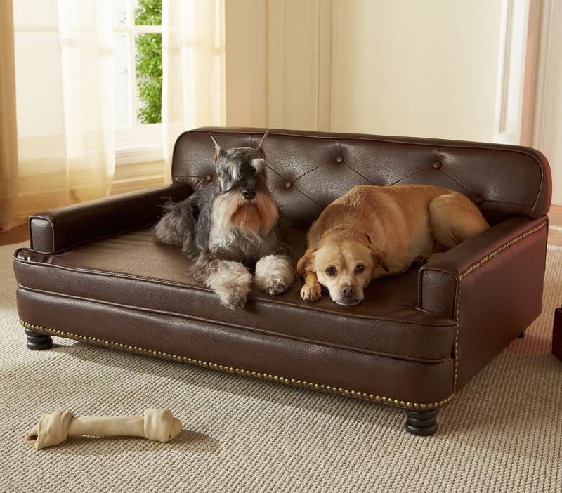 Price: 9.99+ (available in two colors)