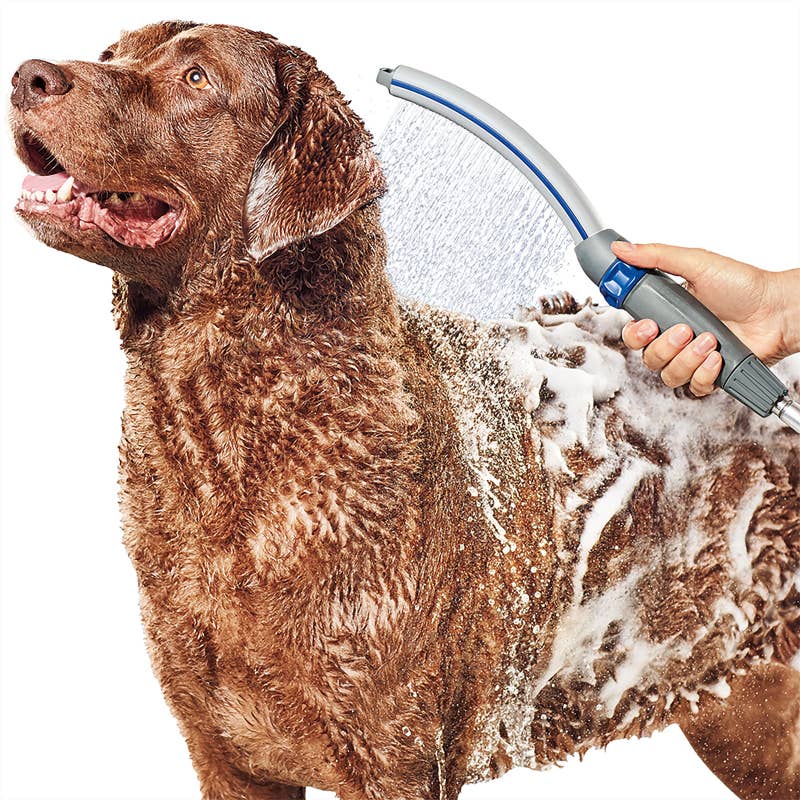 But it'll ALSO attach to your shower head. Promising review: "It is so much easier to get the soap off my dog ! Setup was easy and it was so much better than the regular hose, didn't scare my dog so much." —DavePrice: .98
