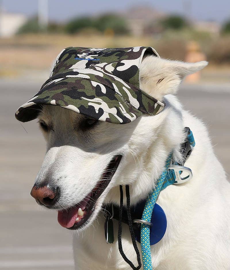 Price: .39+ (available in sizes S–L and eight patterns)