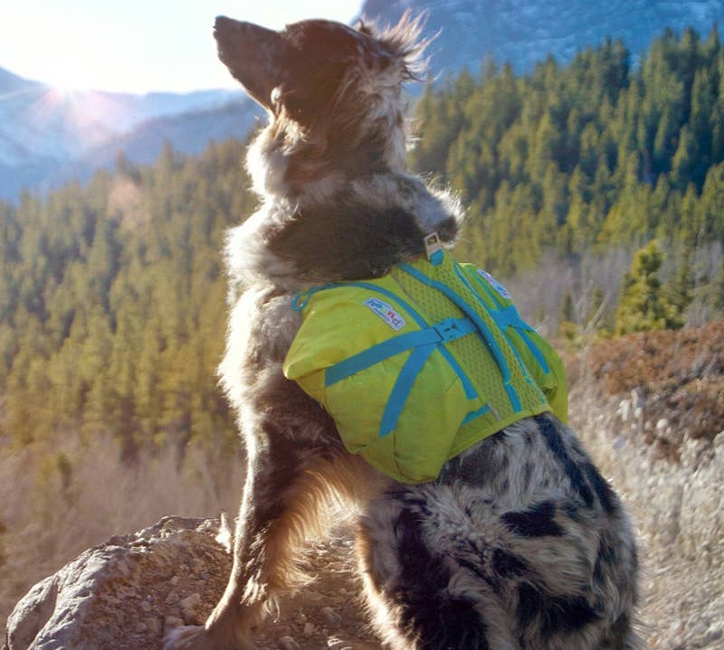 Price: .78+ (available in two sizes)