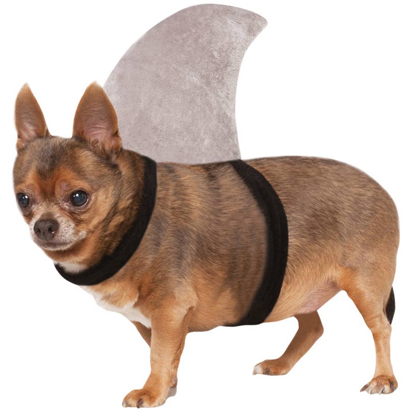 Price: .90 (available in two sizes)