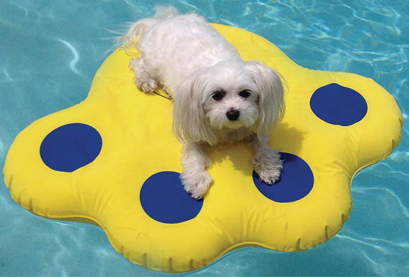 What I said up there ^ about a dog life jacket!Price: .39