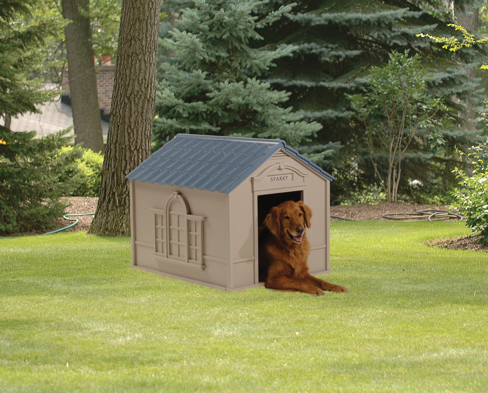 walmart dog house