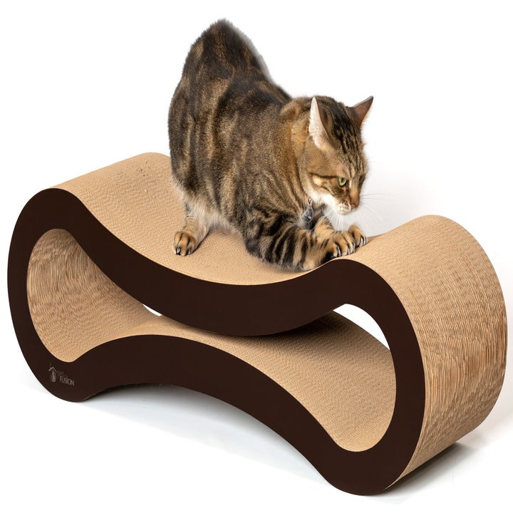 26 Things From Walmart That Ll Make Your Pet Feel Like Royalty