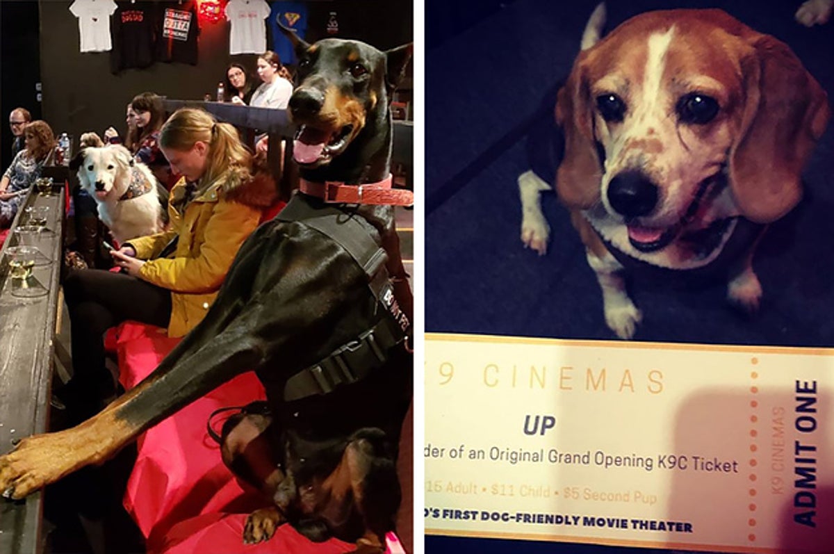 天国か 犬と一緒に入れる映画館 しかもワイン飲み放題つき