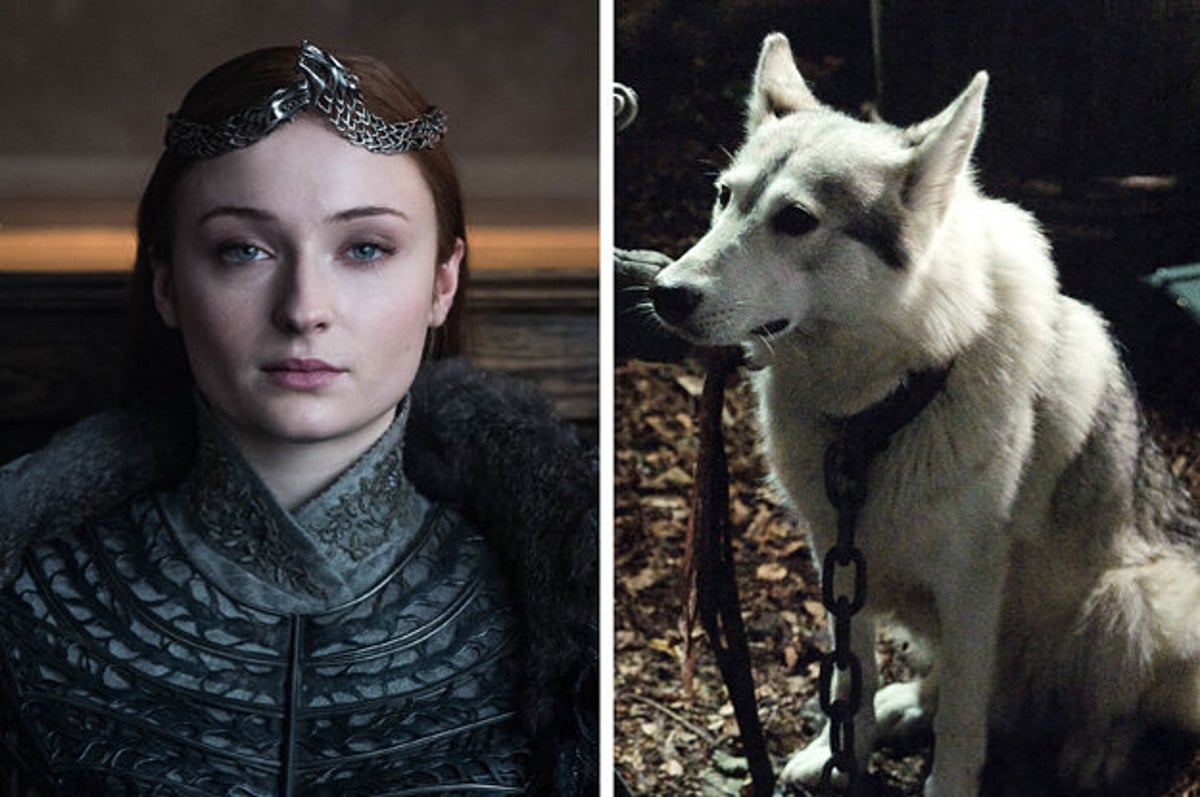 This "Game Of Thrones" Detail About The Stark Kids And The Direwolves Will  Give You Chills