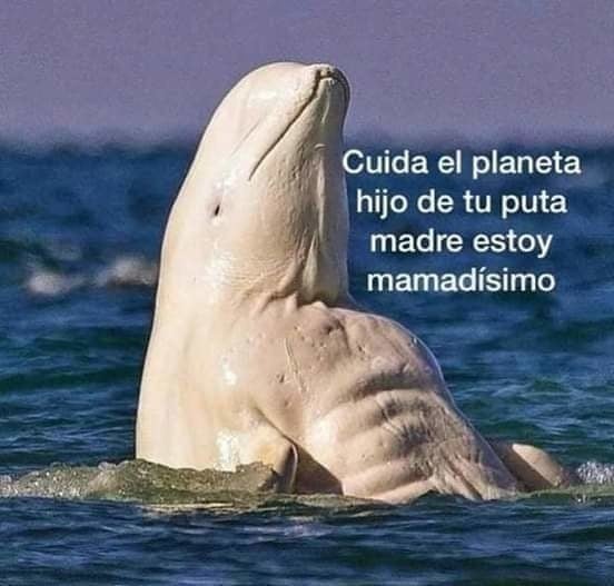 17-memes-que-est-n-mamad-simos-hdsptm
