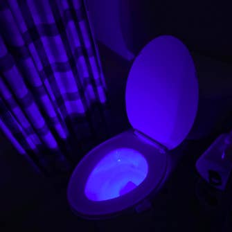 A reviewer image of a toilet shining blue in a dark room
