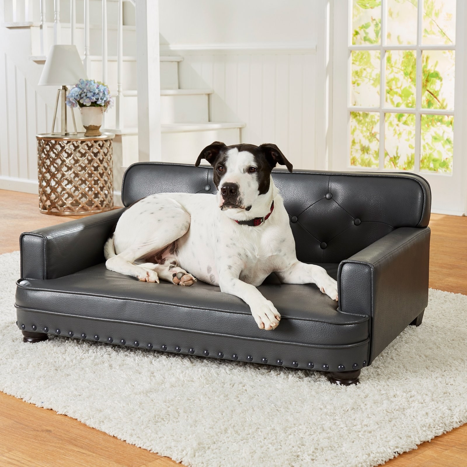 miniature couch for dogs