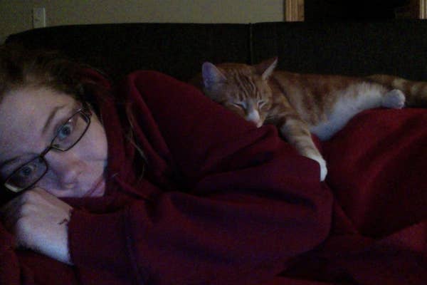 18 Photos That Prove Cats And Dogs Aren T The Pets We Are