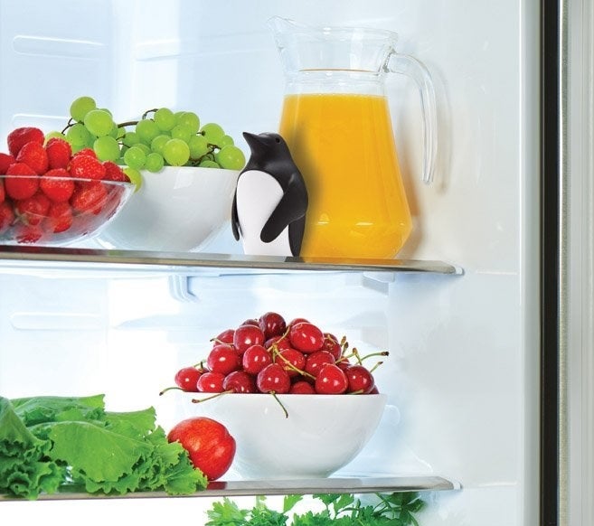 penguin in fridge