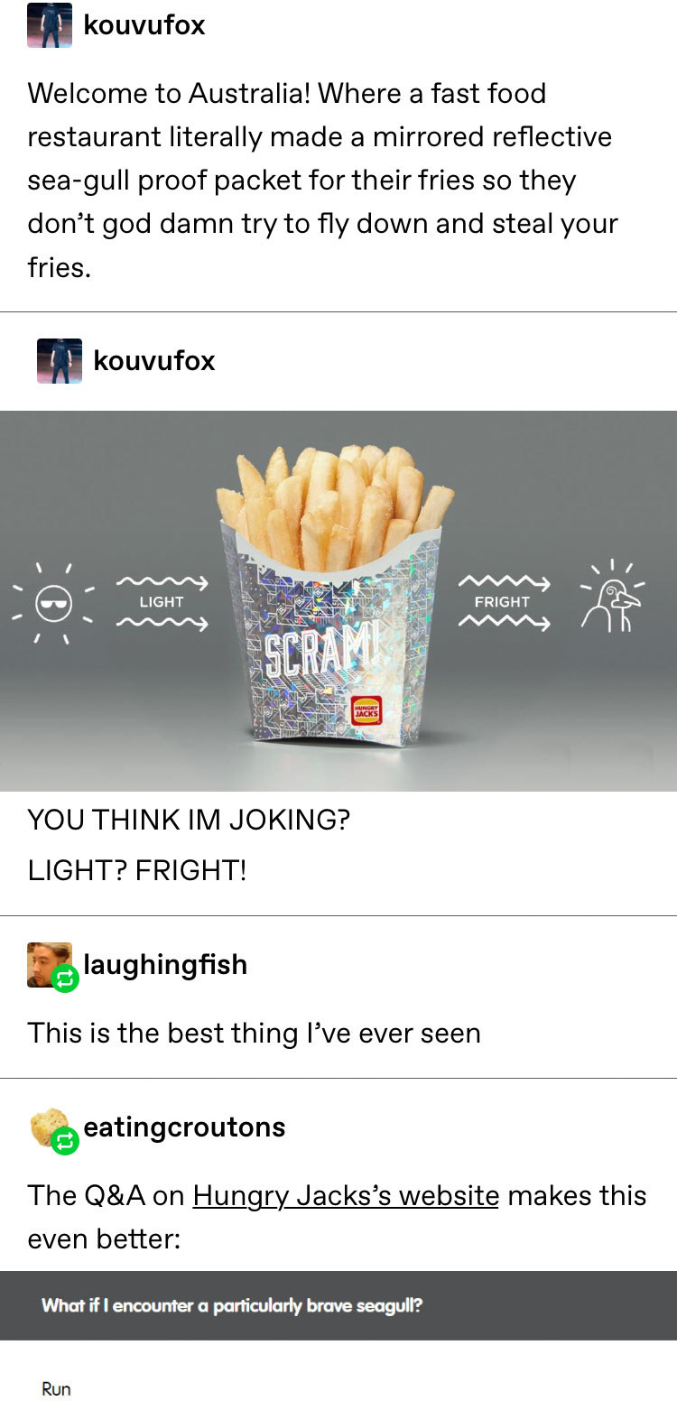 Funny Tumblr Posts To Read If You Need A Distraction